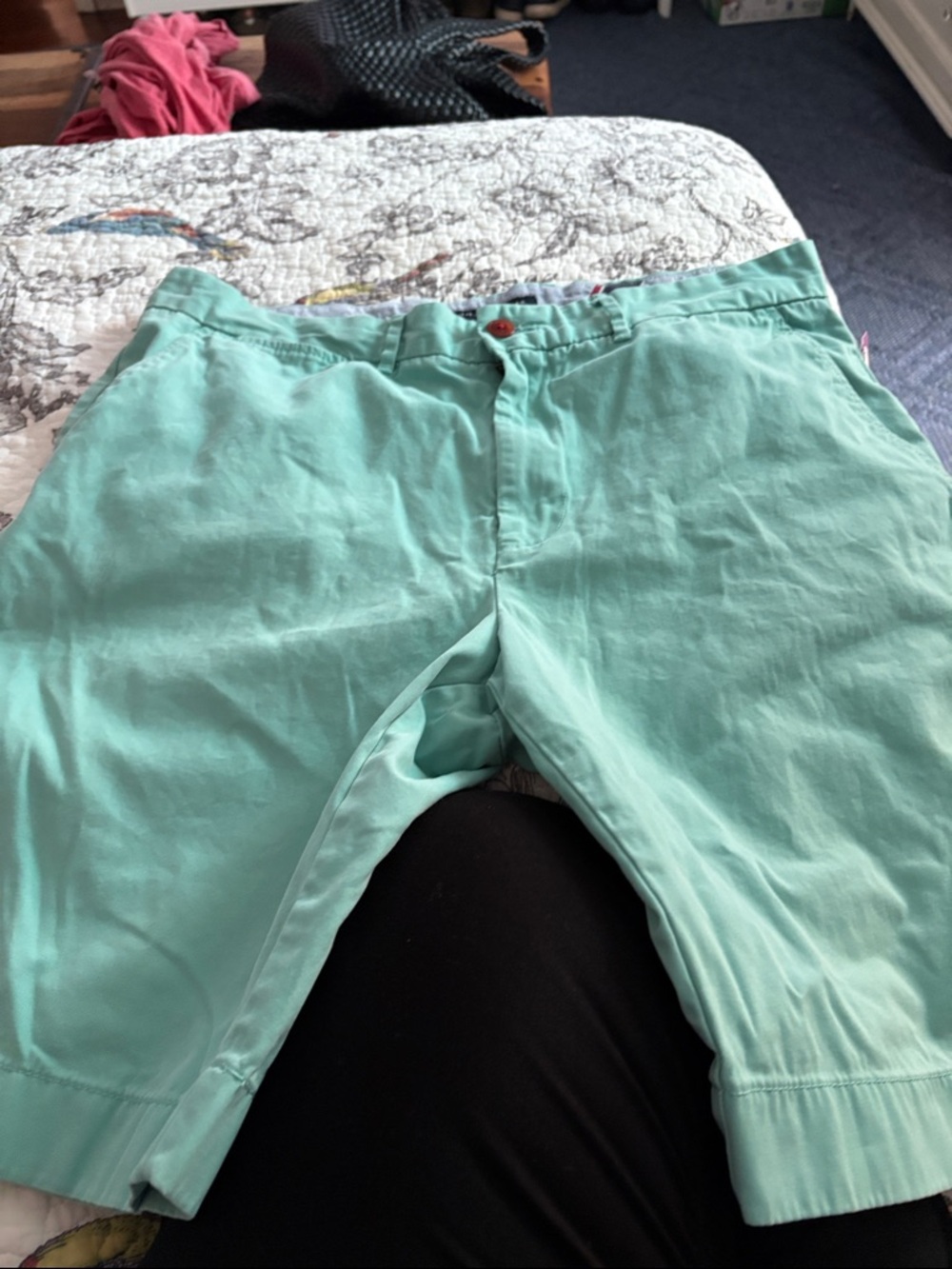 Tommy Hilfiger Mint Green TH Shorts
